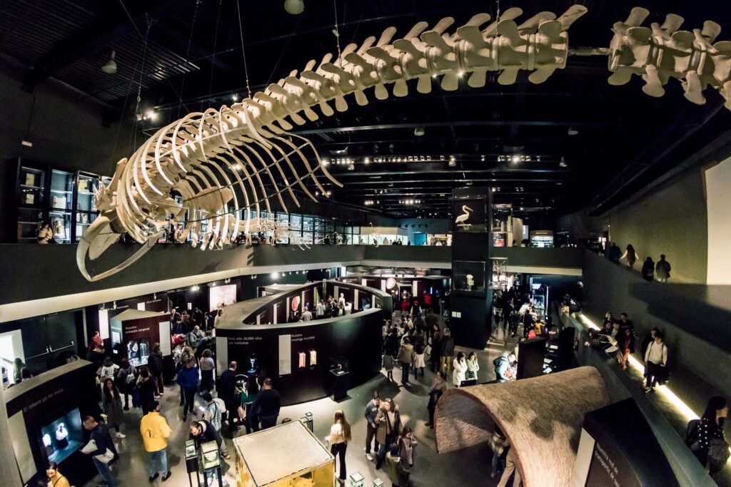 Visitors exploring interactive exhibits at Granada's Science Park, showcasing science and education.
